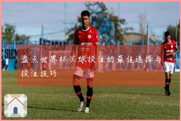 盘点世界杯买球投注的最佳选择与投注技巧