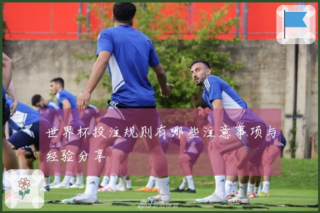世界杯投注规则有哪些注意事项与经验分享
