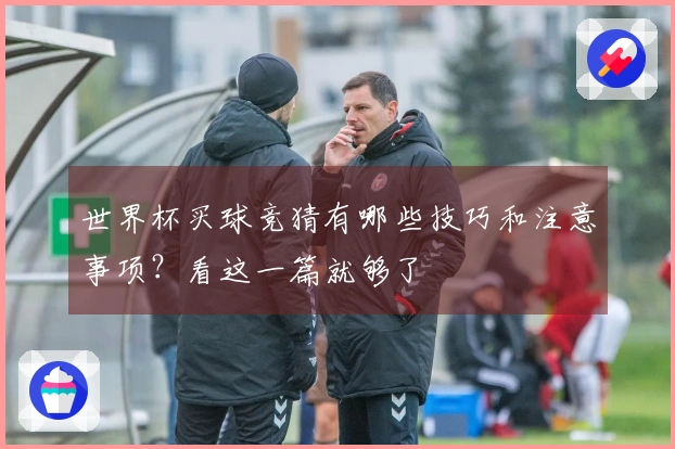 世界杯买球竞猜有哪些技巧和注意事项？看这一篇就够了